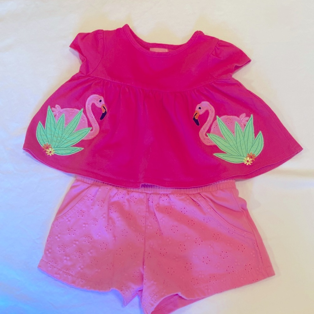 Two piece flamingo short set